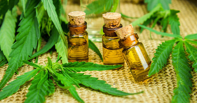 Bienfaits de l'huile au cannabis THCP et THCV 