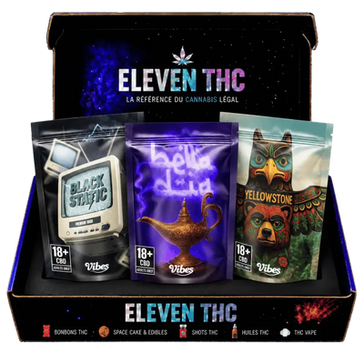 Entdeckerpack CBD Hash 12G | VIBES